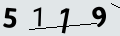 verifycode